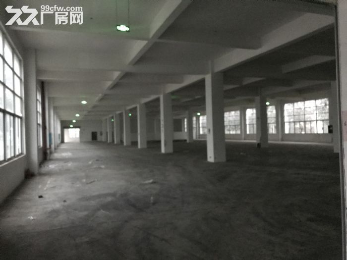 南宁市国家级东盟经开区单层多层厂房1000~10000平方出租-图2