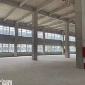 北湖北路标准厂房招租，1300−6500平，月租