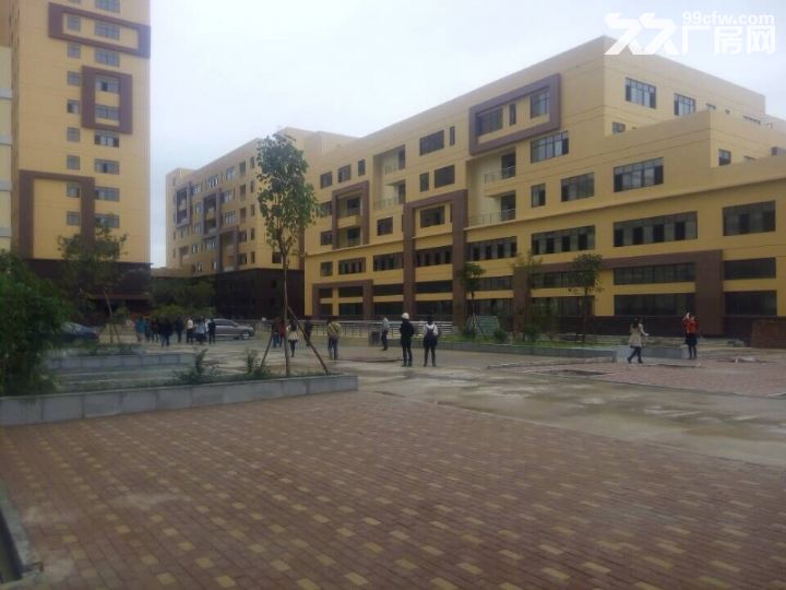 【租/售】300−80000平，标准厂房【国企】证件齐全-图4