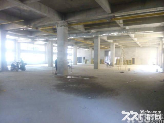 【租/售】300−80000平，标准厂房【国企】证件齐全-图7