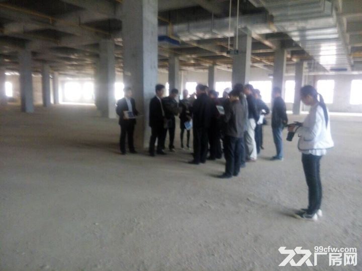 【租/售】300−30000平，全能型标准厂房【国企】-图4