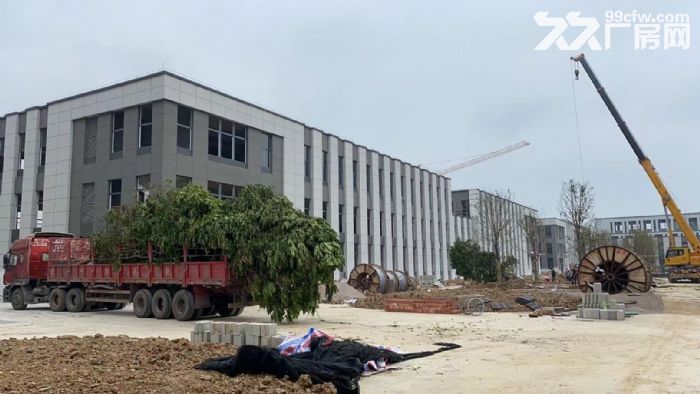 高新区标准厂房，1300−6500平，月租金17元/㎡，上下游产业聚集