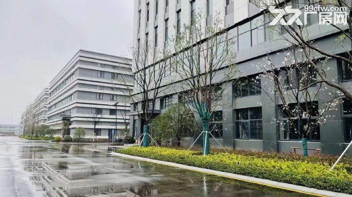 高新区标准厂房，1300−6500平，月租金17元/㎡，上下游产业聚集-图3