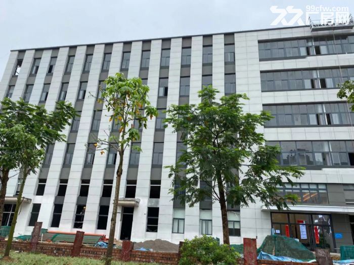 北湖北路标准厂房招租，1300−6500平，月租20元/平-图2