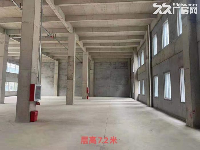 北湖北路标准厂房招租，1300−6500平，月租20元/平-图3