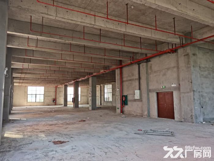 500−−2100㎡标准厂房6元/㎡起租！-图3